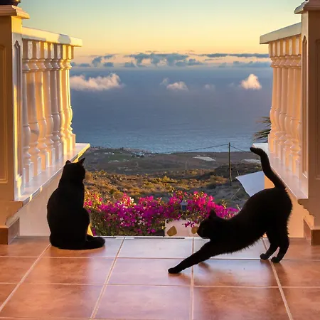 公寓 Casantilvia Heated Pool Paradise 阿德耶