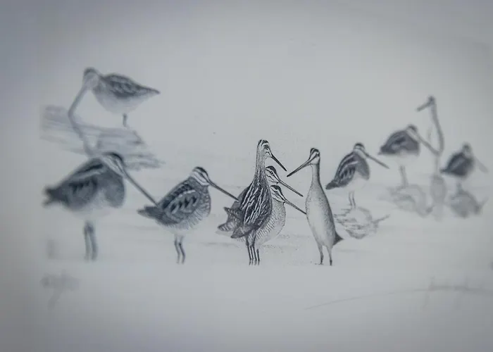 Casantilvia Heated Pool Paradise