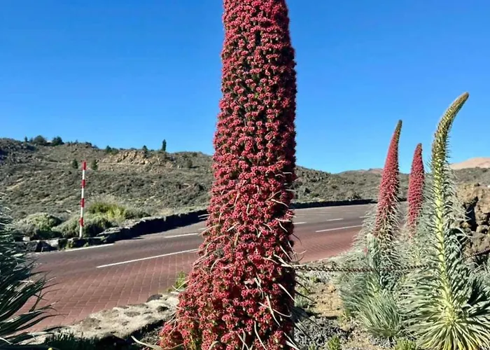 Casantilvia Heated Pool Paradise *