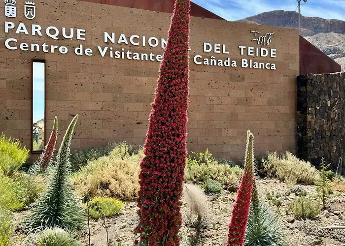 Casantilvia Heated Pool Paradise Апартаменти *